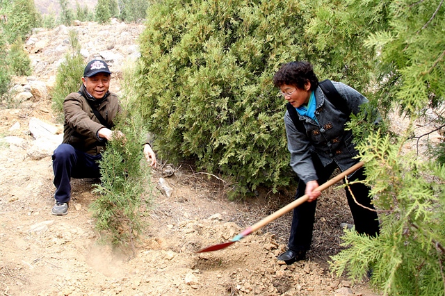 262 肝友植树 66多岁的雨林小草在植树活动中 饶编 2012-4-8 1911.jpg