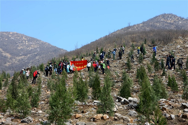 263 彩虹植绿，公益多多 彩虹俱乐部 2012-4-8 1551.jpg