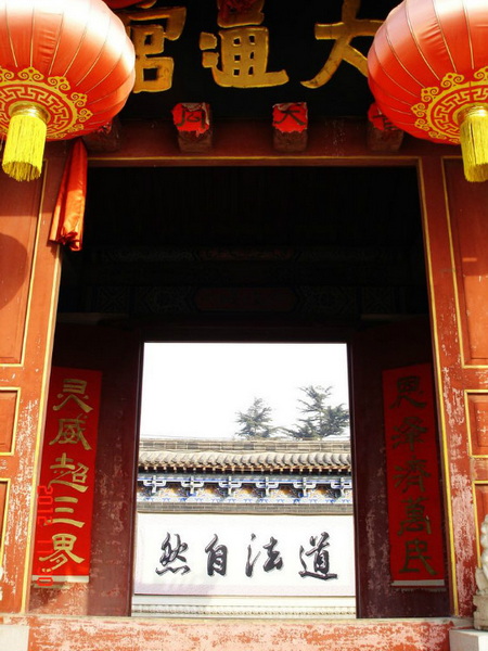 330-1 大通宫所见.jpg