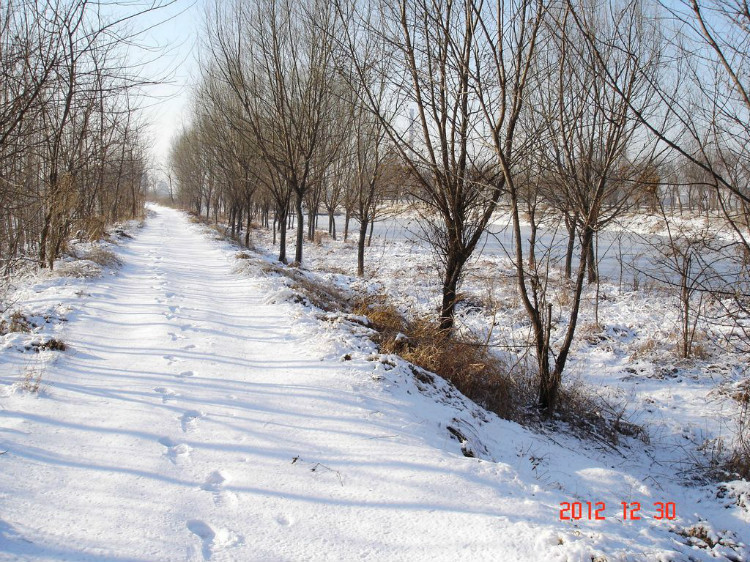 338 洪江河踏雪.jpg