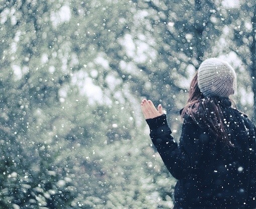 350 雨夜花 雪.jpg