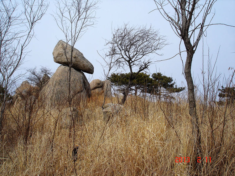370-5 卧虎山记.jpg