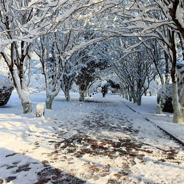 398 三月飞雪似梨花 健康是金 2013-3-20 1213.jpg
