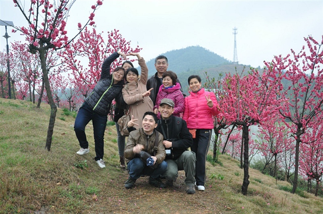 399 jack 桃花岛上桃花开 很是顽皮的肾斗士 OJ（海鸥） 2013-3-20 1953.jpg