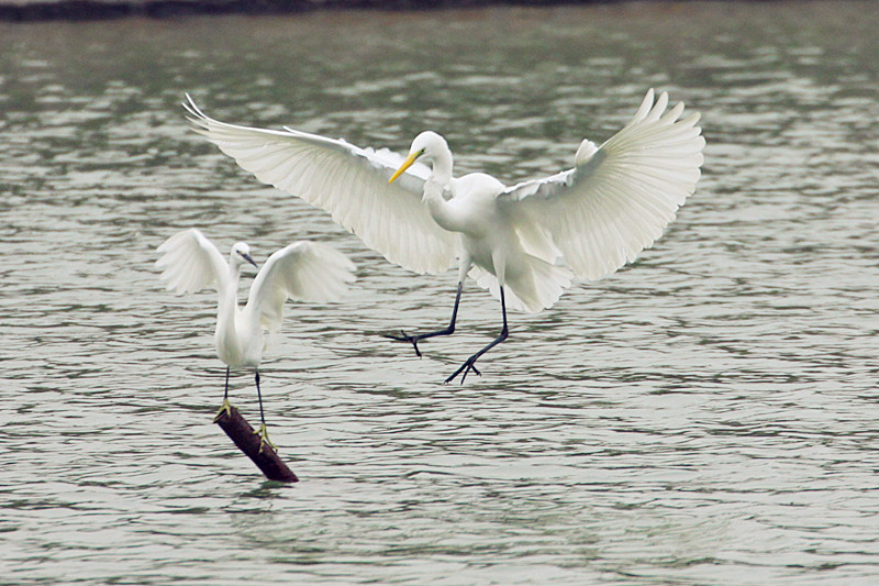 488-3 厦门印象 小康 2012-12-17 2117.jpg