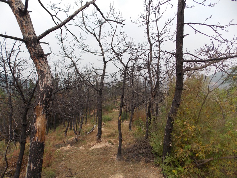 545-2 2014年10月12日超然景区登山.jpg