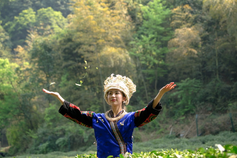 DSC08103.jpg