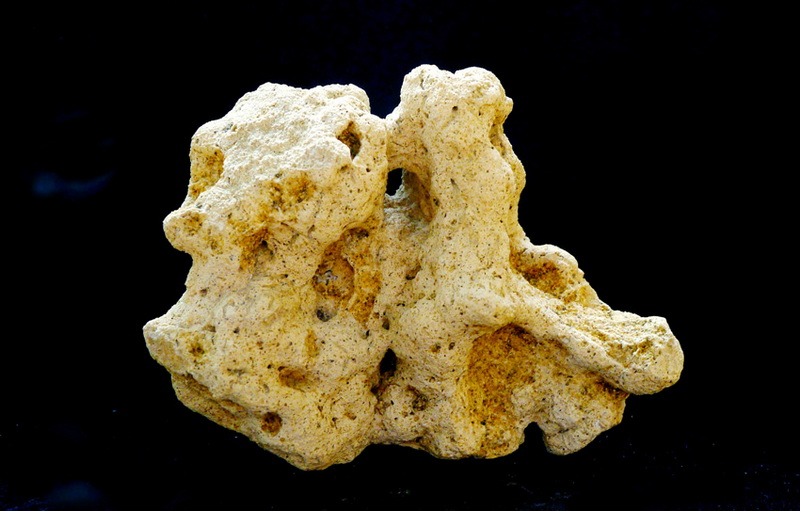 j5.JPG