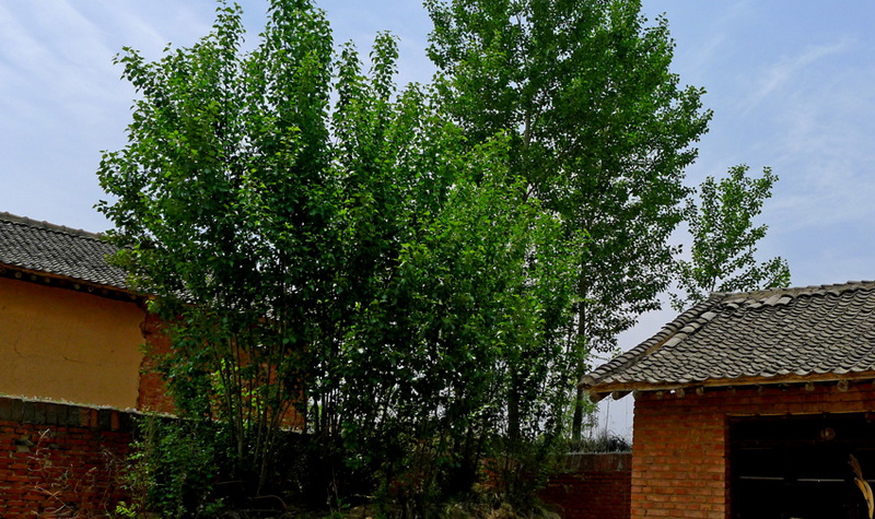 05.JPG