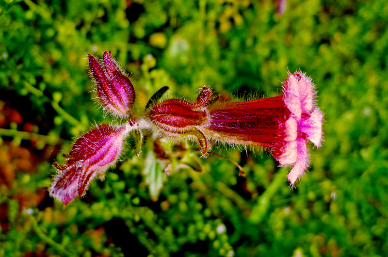 P1060054.JPG