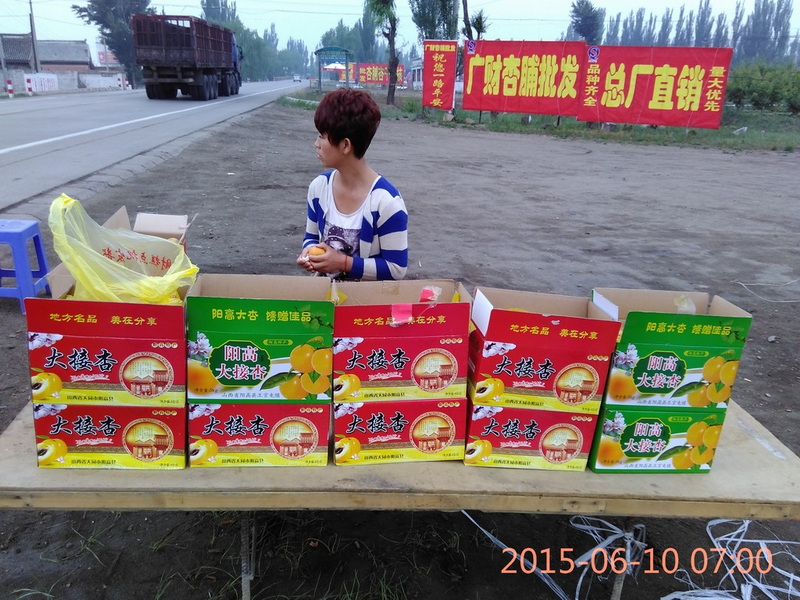 IMG_20150610_070001.jpg