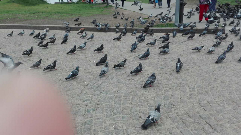 464008432.jpg