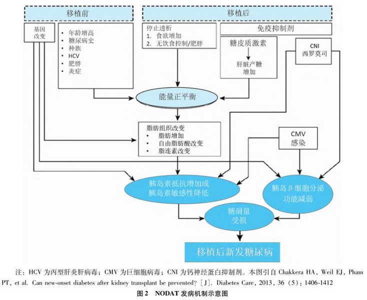 3 中国器官移植术后糖尿病诊疗指南（2016版）.jpg