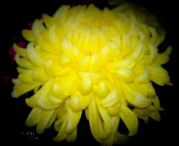 124028