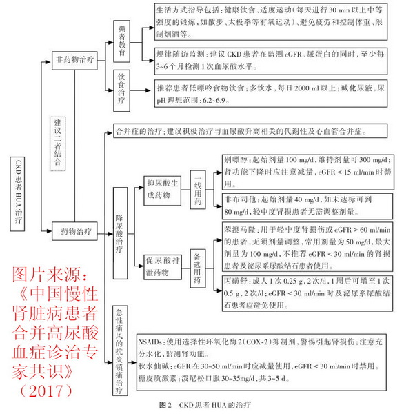 CKD患者HUA的治疗 - 中国慢性肾脏病患者合并高尿酸血症诊治专家共识.jpg