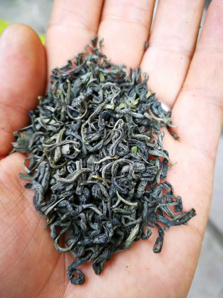 炒青绿茶250克一袋，秒杀价9.9元包邮