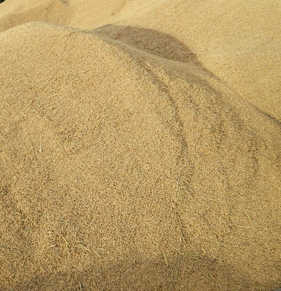 071008n7c73si2c7slmm3t.jpg