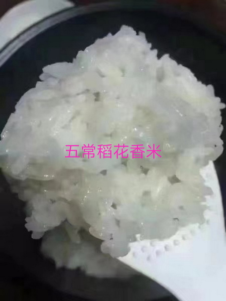 142115gonu96p9jn99qpjb.jpg