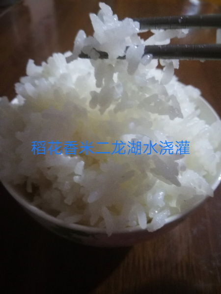 142137d3424z4plxs4msxx.jpg
