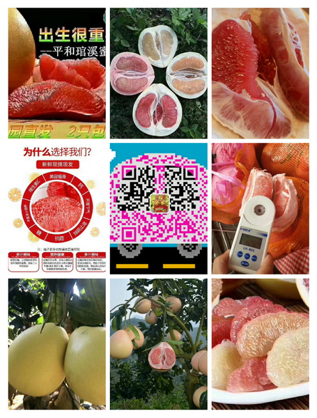 174353ag7i8u88fiiz78c3.jpg