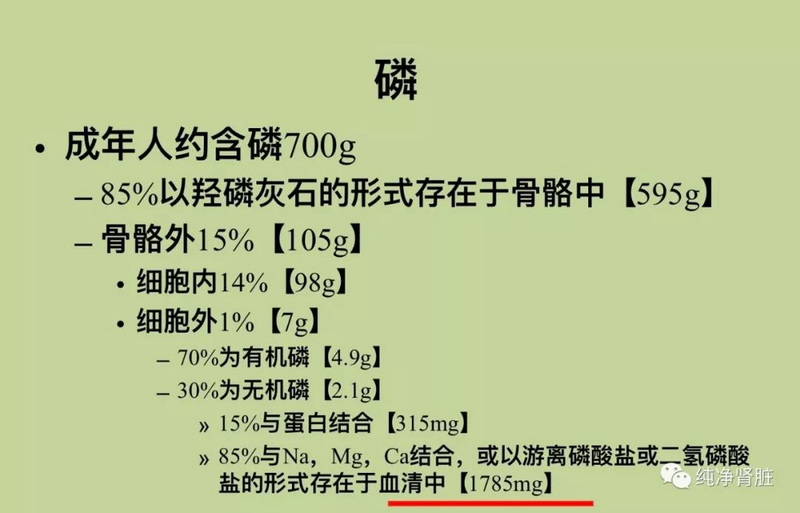 7 人体内磷的含量.jpg