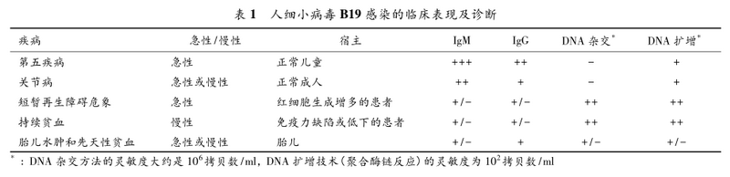 表1 人细小病毒b19感染的临床表现及诊断.png