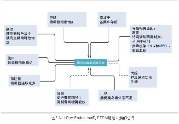 图5 Nat Rev Endocrinol对PTDM危险因素的总结.jpg