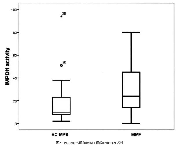 图3 EC-MPS组和MMF组的IMPDH活性.jpg