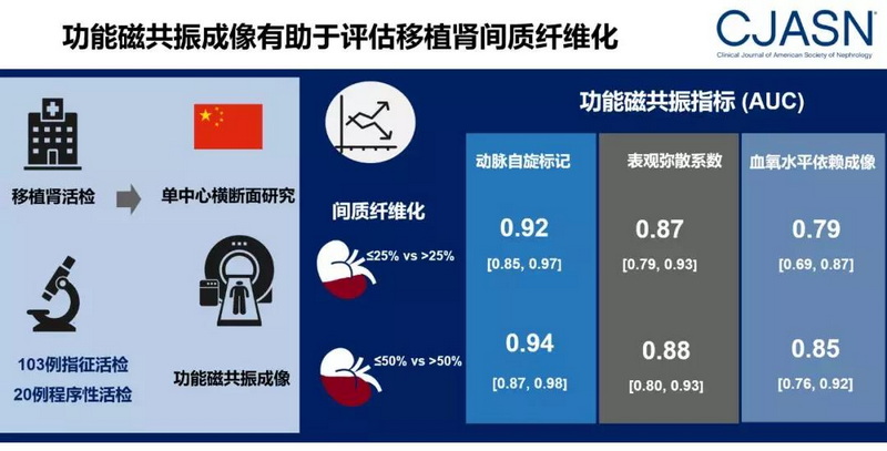 利用磁共振技术无创评估肾纤维化.jpg