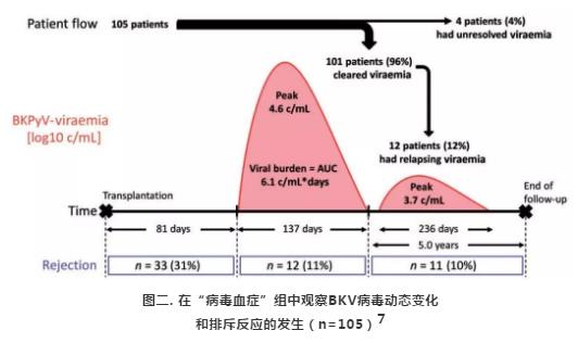 2 肾移植术后BKV感染：“CNI first”VS“MPA first”减少策略.jpg