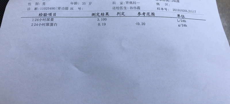 24小时蛋白定量