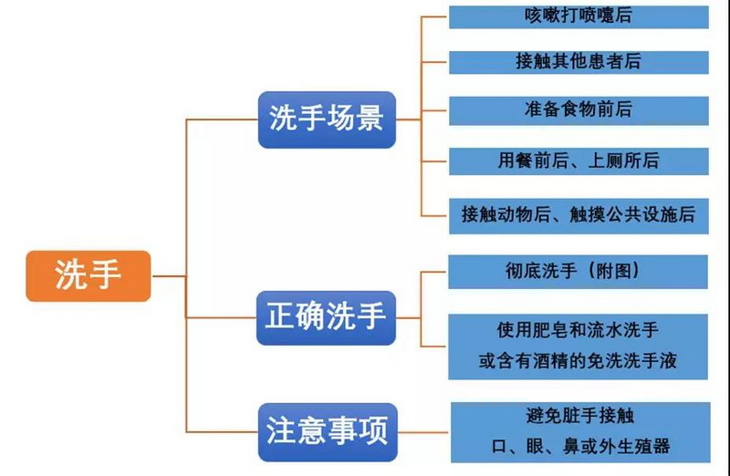 洗手图1.jpg