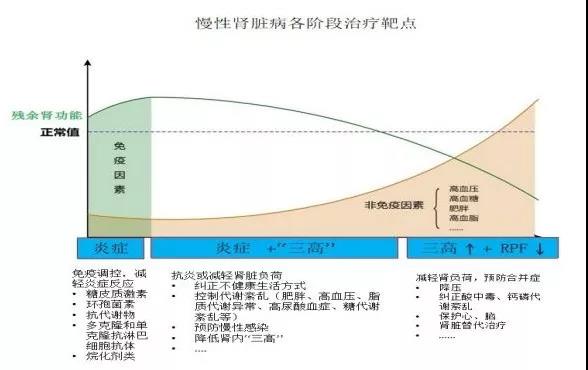 图2 慢性肾脏病阶段治疗靶点.jpg