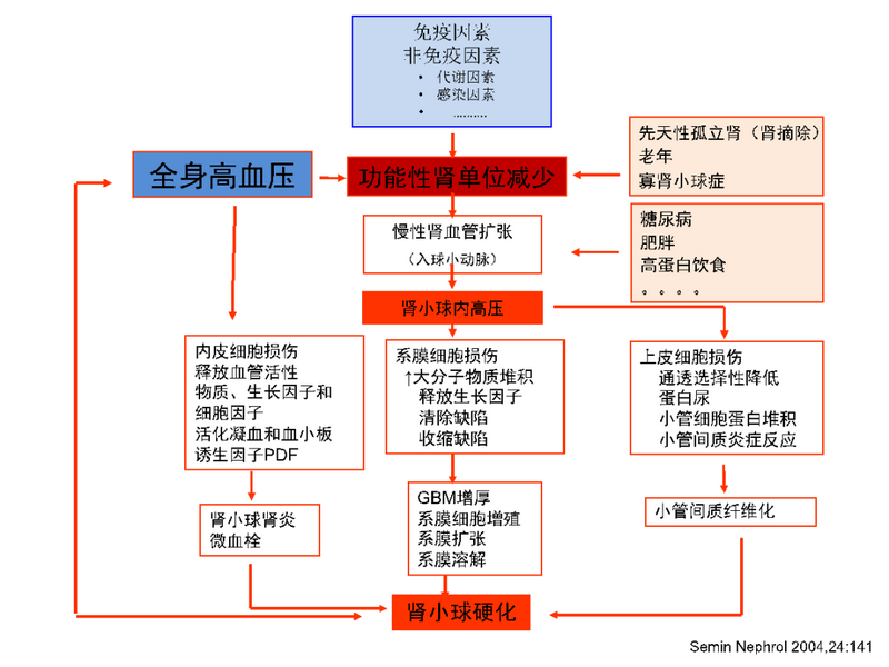 图1 共同途径学说.png