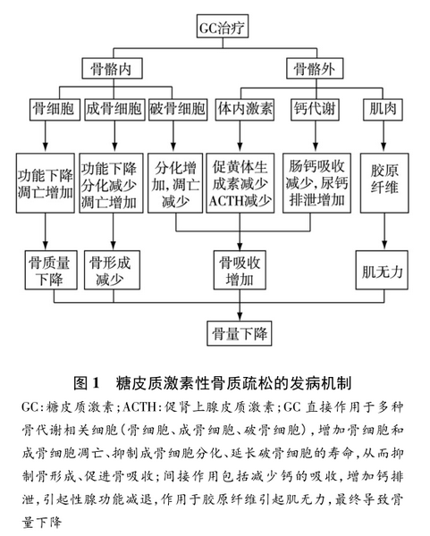 肾移植后骨异常研究进展.png