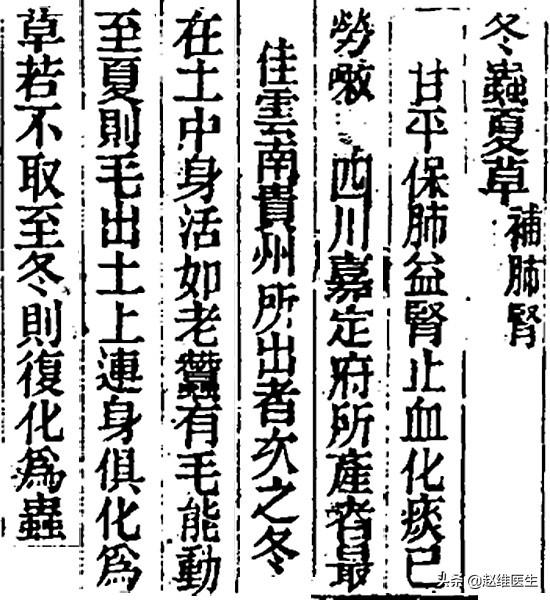 图2 《本草从新》中冬虫夏草的条文.jpg