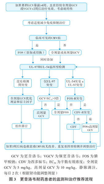 图3 更昔洛韦耐药患者的监测和治疗推荐流程.png