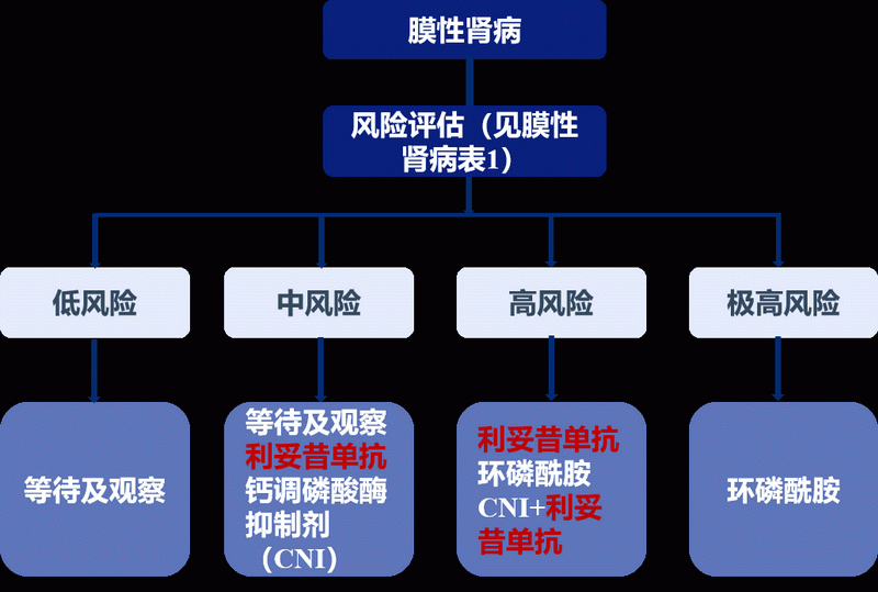 图4 膜性肾病风险评估.png