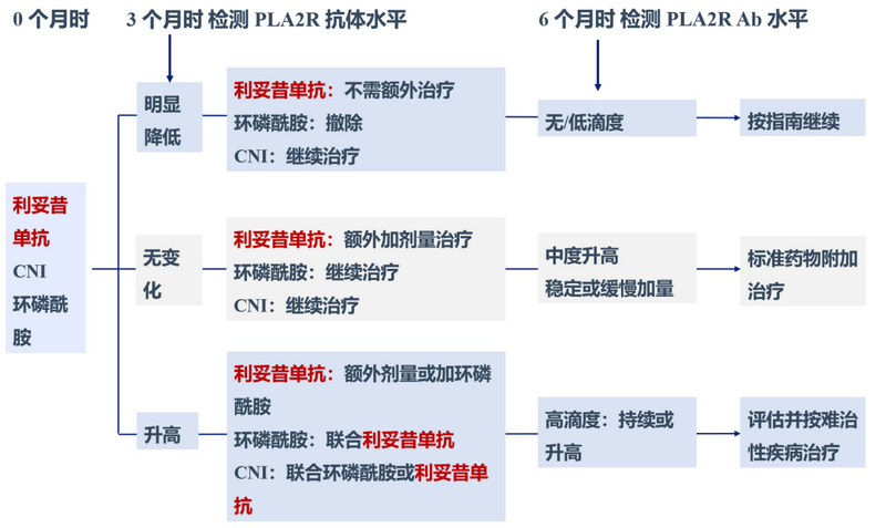 图5 膜性肾病治疗启动后的免疫学监测.png