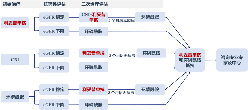 图7 膜性肾病患者的治疗流程.png