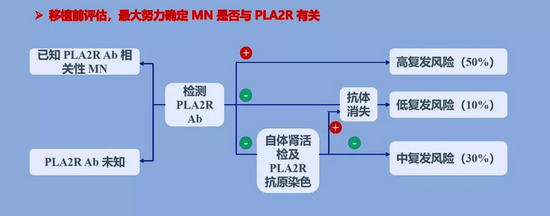 图8 膜性肾病肾移植受者的评估.jpg