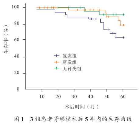 图1 3组患者肾移植术后5年内的生存曲线.jpg