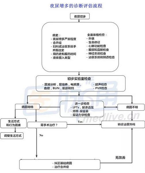 1 夜尿增多的诊断评估流程.jpg