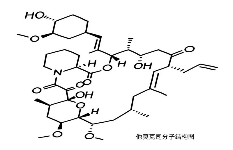 1 他克莫司分子结构图.jpg