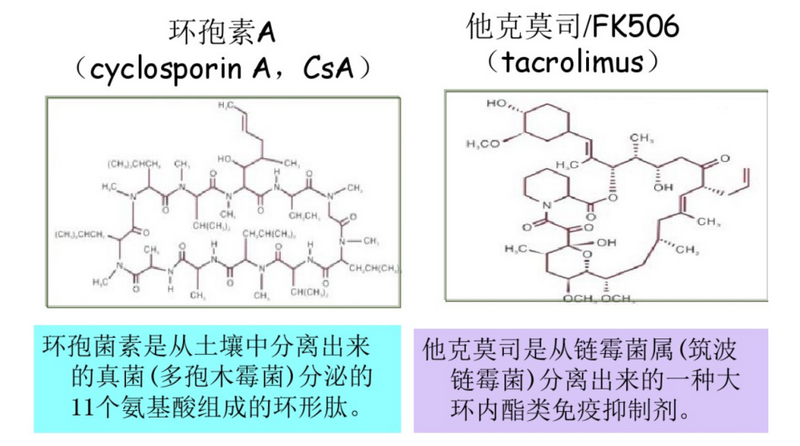 图1 环孢素 vs 他克莫司.png