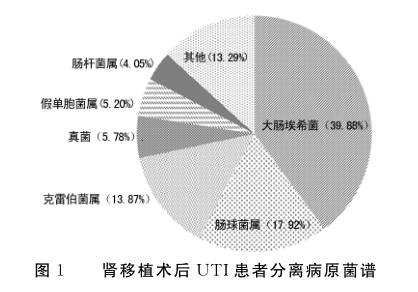 图1 肾移植术后uti患者分离病原菌谱.png