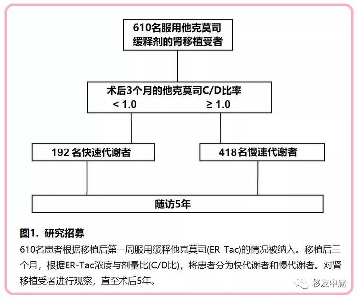 图1 研究招募.jpg