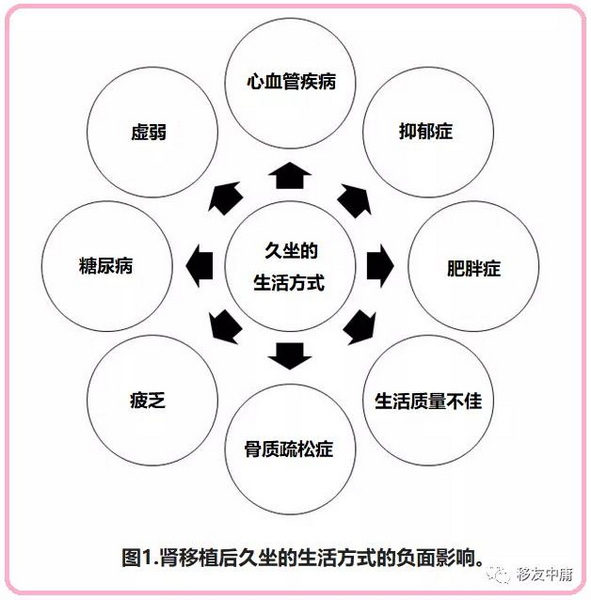 图1 久坐行为对肾移植相关结果的负面影响.jpg