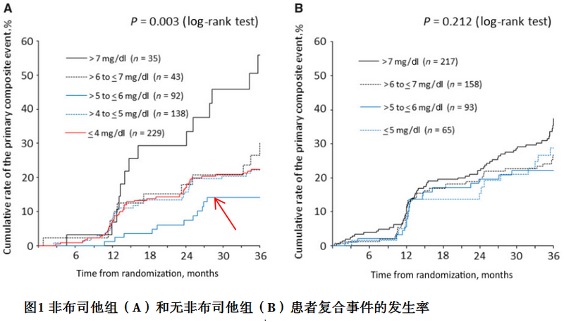 图1 非布司他组（A）和无非布司他组（B）患者复合事件的发生率.png