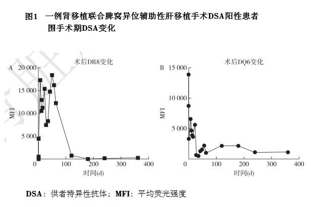 图1 一例肾移植联合脾窝异位辅助性肝移植手术ＤＳＡ阳性患者围手术期ＤＳＡ变化.png